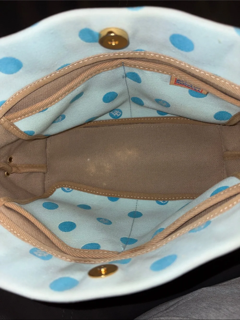 Dooney & Bourke Pale Blue Pouch with Blue Polka Dots